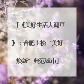 《美好生活大调查》：合肥上榜“美好焕新”典范城市