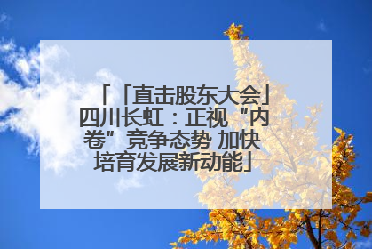 「直击股东大会」四川长虹：正视“内卷”竞争态势 加快培育发展新动能