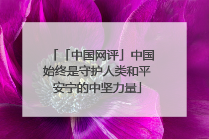 「中国网评」中国始终是守护人类和平安宁的中坚力量