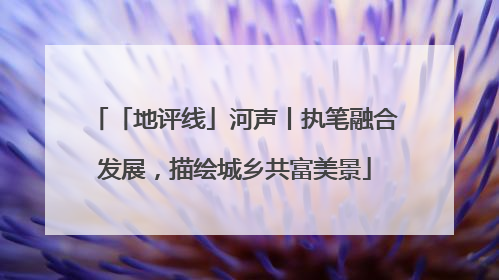 「地评线」河声丨执笔融合发展，描绘城乡共富美景