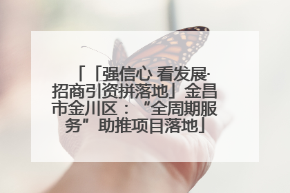 「强信心 看发展·招商引资拼落地」金昌市金川区：“全周期服务”助推项目落地