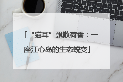 “猫耳”飘散荷香：一座江心岛的生态蜕变