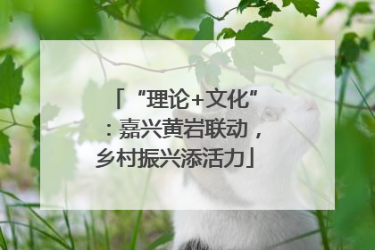 “理论+文化”：嘉兴黄岩联动，乡村振兴添活力