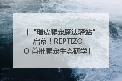 “瑞皮爬宠魔法驿站” 启幕！REPTIZOO 首推爬宠生态研学