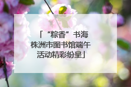 “粽香”书海 株洲市图书馆端午活动精彩纷呈
