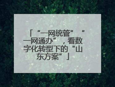 “一网统管”“一网通办”，看数字化转型下的“山东方案”
