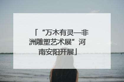 “万木有灵—非洲雕塑艺术展”河南安阳开展