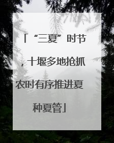 “三夏”时节，十堰多地抢抓农时有序推进夏种夏管