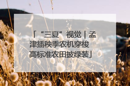 “三夏”视觉｜孟津插秧季农机穿梭 高标准农田披绿装