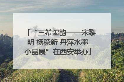 “三希墨韵——宋黎明 杨稳新 丹萍水墨小品展”在西安举办