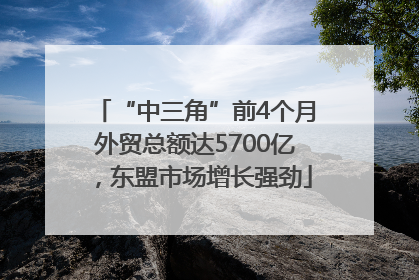 “中三角”前4个月外贸总额达5700亿，东盟市场增长强劲