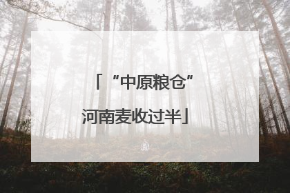 “中原粮仓”河南麦收过半