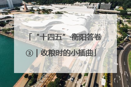 “十四五”·衡阳答卷③｜收粮时的小插曲