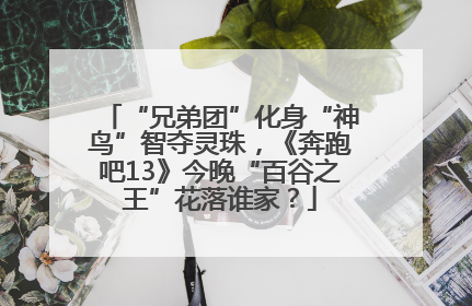 “兄弟团”化身“神鸟”智夺灵珠，《奔跑吧13》今晚“百谷之王”花落谁家？