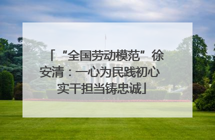 “全国劳动模范”徐安清：一心为民践初心 实干担当铸忠诚