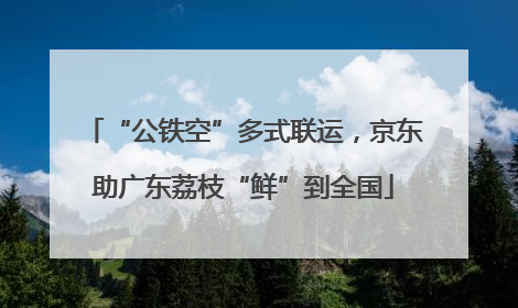“公铁空”多式联运，京东助广东荔枝“鲜”到全国