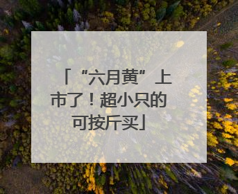 “六月黄”上市了！超小只的可按斤买