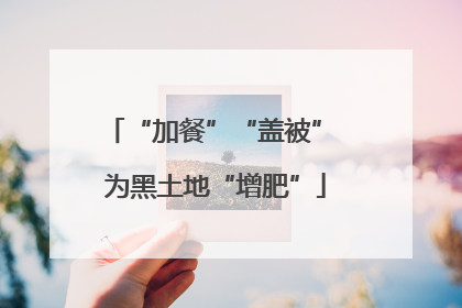 “加餐”“盖被” 为黑土地“增肥”