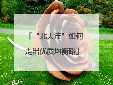 “北大洼”如何走出优质均衡路