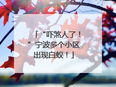 “吓煞人了！”宁波多个小区出现白蚁！