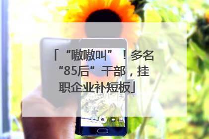 “嗷嗷叫”！多名“85后”干部，挂职企业补短板