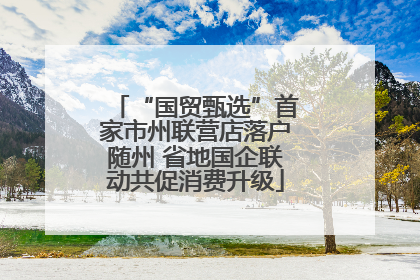 “国贸甄选”首家市州联营店落户随州 省地国企联动共促消费升级