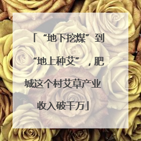 “地下挖煤”到“地上种艾”，肥城这个村艾草产业收入破千万
