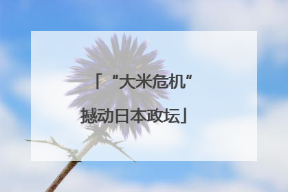 “大米危机”撼动日本政坛