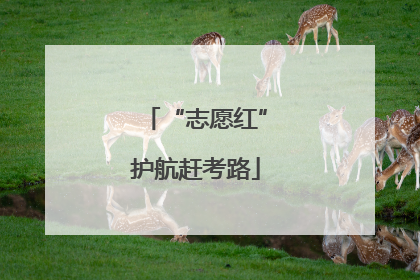 “志愿红”护航赶考路