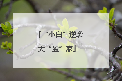 “小白”逆袭大“盈”家