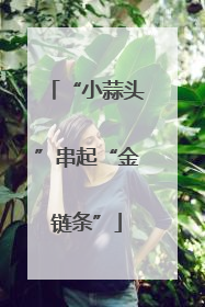 “小蒜头”串起“金链条”