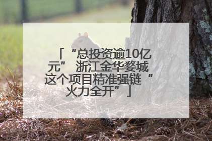 “总投资逾10亿元” 浙江金华婺城这个项目精准强链“火力全开”