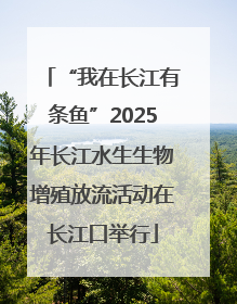 “我在长江有条鱼”2025年长江水生生物增殖放流活动在长江口举行