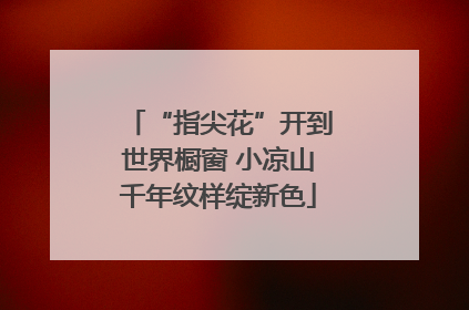 “指尖花”开到世界橱窗 小凉山千年纹样绽新色