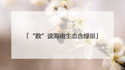 “数”读海南生态含绿量