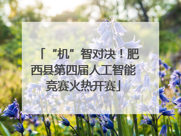 “机”智对决！肥西县第四届人工智能竞赛火热开赛