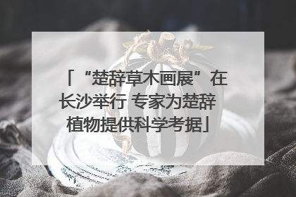 “楚辞草木画展”在长沙举行 专家为楚辞植物提供科学考据