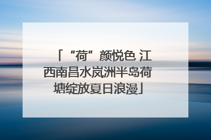 “荷”颜悦色 江西南昌水岚洲半岛荷塘绽放夏日浪漫