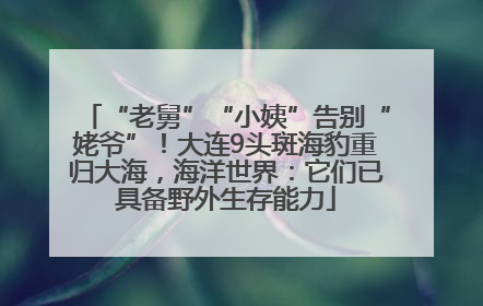 “老舅”“小姨”告别“姥爷”！大连9头斑海豹重归大海，海洋世界：它们已具备野外生存能力
