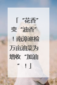 “花香”变“油香”！南漳巡检万亩油菜为增收“加油”！