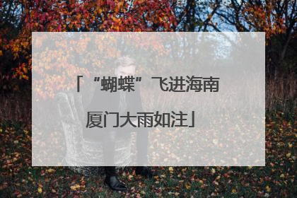 “蝴蝶”飞进海南 厦门大雨如注