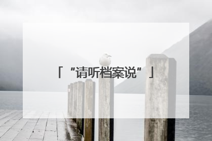 “请听档案说”
