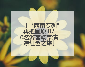“西南专列”再抵固原 870名游客畅享清凉红色之旅