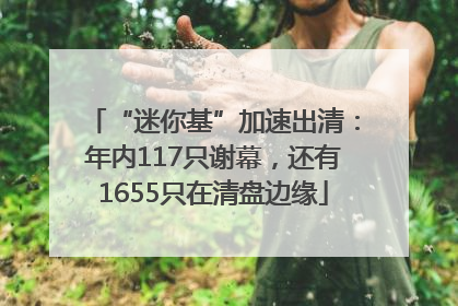 “迷你基”加速出清：年内117只谢幕，还有1655只在清盘边缘