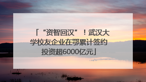 “资智回汉”！武汉大学校友企业在鄂累计签约投资超6000亿元