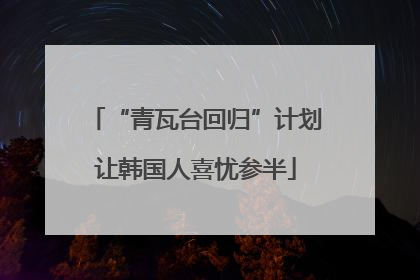 “青瓦台回归”计划让韩国人喜忧参半