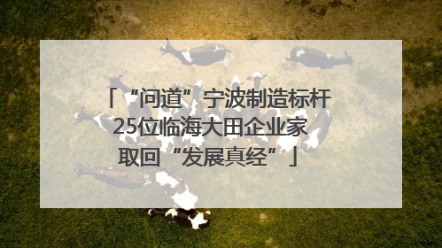 “问道”宁波制造标杆 25位临海大田企业家取回“发展真经”