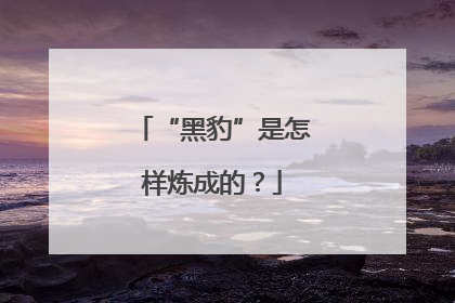 “黑豹”是怎样炼成的？