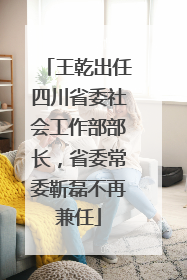 王乾出任四川省委社会工作部部长，省委常委靳磊不再兼任