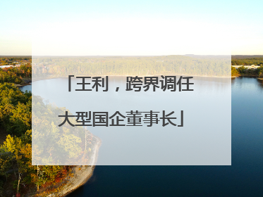 王利，跨界调任大型国企董事长